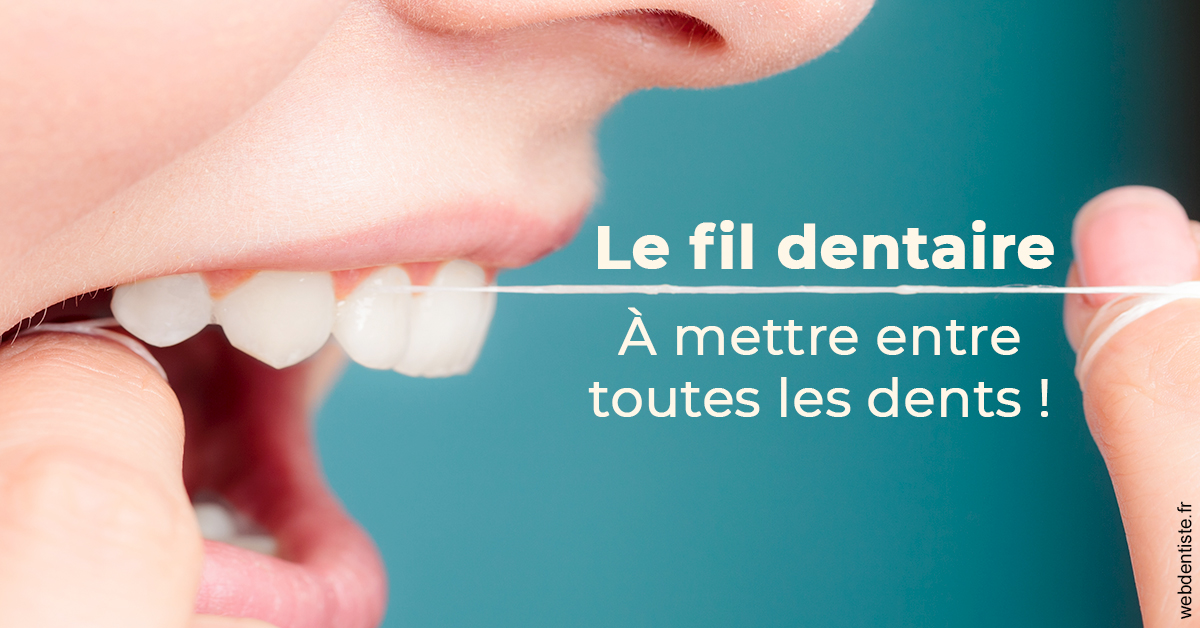 https://selarl-emile-roux.chirurgiens-dentistes.fr/Le fil dentaire 2