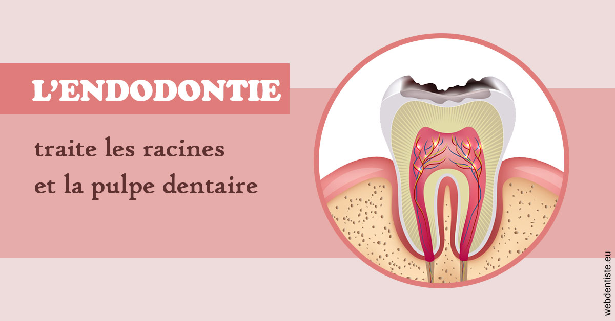 https://selarl-emile-roux.chirurgiens-dentistes.fr/L'endodontie 2
